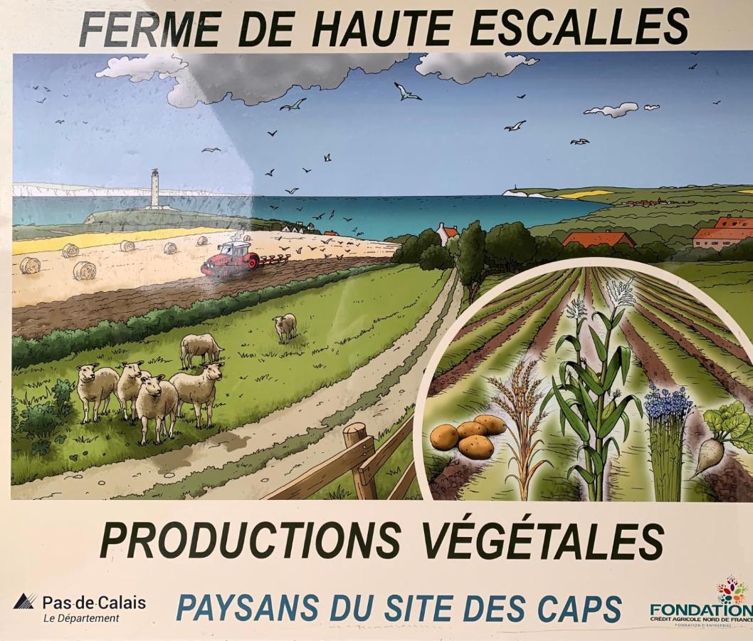 Ferme De La Haute-Escalles Exterior photo